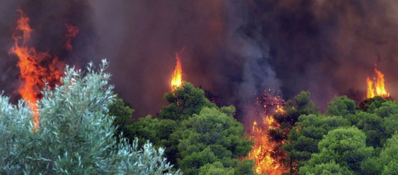 Η ρύπανση του αέρα που προκαλούν οι δασικές πυρκαγιές συνδέεται με πάνω από 33.000 θανάτους κάθε χρόνο